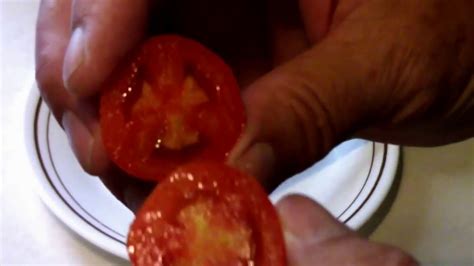 The Mountain Magic Tomato: A Superior Choice for Home Gardeners